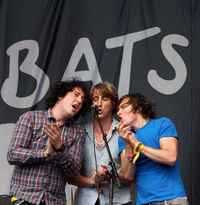 The Wombats