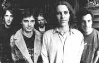 POWDERFINGER