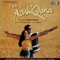 YEH DIL AASHIQANA movie